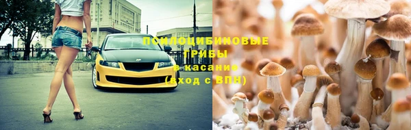 дмт Абинск